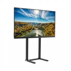 65" Bildschirm – 4K UHD